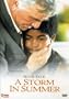 A Storm in Summer
