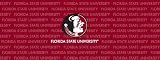 Florida State Seminoles Team Auto Rear Window Decal
