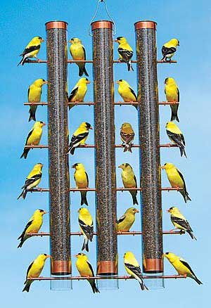 Finches Favorite 3 Tube Feeder Copper