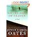 Little Bird of Heaven: A Novel