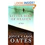 Little Bird of Heaven: A Novel