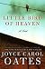 Little Bird of Heaven: A Novel