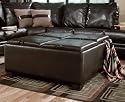 Brown Bycast Leather Storage Ottoman/ Coffee Table