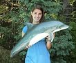 Giant Fiberglass Taxidermy Dolphin Porpoise Full Mount