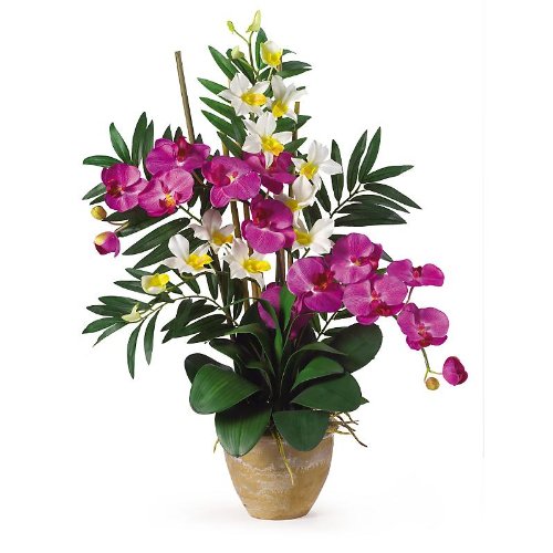 New Nearly Natural Double Phal/Dendrobium Silk Orchid Arrangement Perfect Brilliant Orchid Cream