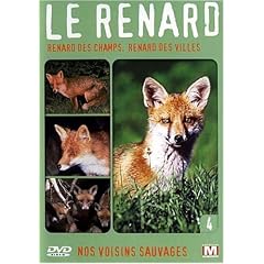 Nos voisins sauvages : Le renard : Renard des champs, renard des villes