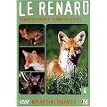 Nos voisins sauvages : Le renard : Renard des champs, renard des villes