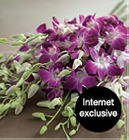 Flowers by Post - 14 Exotic Orchids