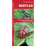 beetles a folding pocket guide to familiar north american species pocket naturalist guide series