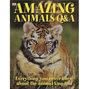Buy Amazing Animals - Q and A - Everything You Never... now!