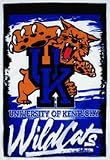 Kentucky Wildcats 27 x 37 Vertical Flag / Banner