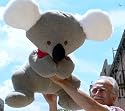 BIG 26" GIANT STUFFED KOALA - SQUISHY-SOFT SUPER-SIZED AUSTRALIAN FUN - AMERICAN MADE IN THE USA AMERICA