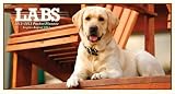 Labs 2012 Pocket Planner