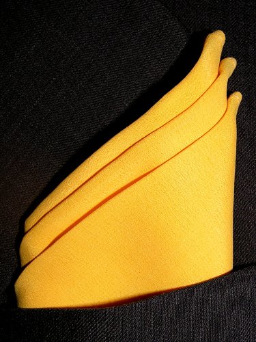 Fine Mango Silk Pocket Square, 100% Silk - by Royal Silk