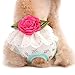 PanDaDa Puppy Pet Dog Flower Sanitary Panty Pant Lace Diaper Underwear Green X-Small