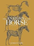 The Anatomy of the Horse (Dover Anatomy for Artists)