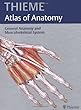 Thieme : Atlas of anatomy