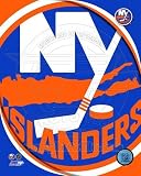 New York Islanders 2011 Team Logo Poster (8.00 x 10.00)