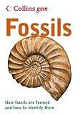 Fossils