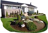 Find out how to avoid Foreclosure