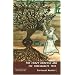 Crazy Dervish and the Pomegranate Tree
