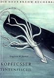 Kopff��er: Tintenfische - Siegfried Jaeckel