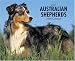 Just Australian Shepherds 2008 Calendar
