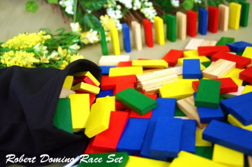 Robert 200 Tiles - Wooden Domino Race Set in Assorted Colors