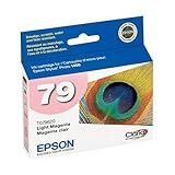 Ink Cartridge,for Stylus Photo 1400,810 Pg Yield,Lt Magenta