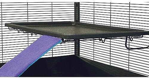 Shelf for Ferret and Critter Nation by Ferret Nation