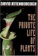 The Private Life of Plants: A Natural History of Plant Behaviour