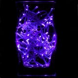 from brightstuff.co.uk Purple LED Lights, Transparent Wire, Static, Indoor and outdoor use, with an outdoor transformer- LED Christmas Lights Model QB-LED80STR-24V/PP/TR