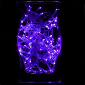 Purple LED Lights, Transparent Wire, Static, Indoor and outdoor use, with an outdoor transformer- LED Christmas Lights