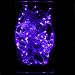 Purple LED Lights, Transparent Wire, Static, Indoor and outdoor use, with an outdoor transformer- LED Christmas Lights