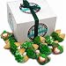 St. Patrick's Hand Dipped & Decorated Gourmet Fortune Cookies- Gift Boxed