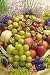 Corbeille De Fruit - 24H x 16W - Peel and Stick Wall Decal by Wallmonkeys