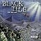 2008's best melodic rock and metal CDs