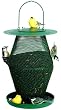 No/No GL00323 Forest Green Lantern Birdfeeder