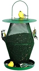No/No GL00323 Forest Green Lantern Birdfeeder