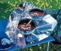 Hot Pot Simple Solar Cooker