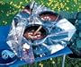 Hot Pot Simple Solar Cooker
