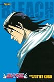 Bleach 3-in-1 Edition 3