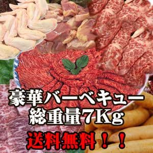 【送料無料】厳選・特選バーベキューセット　特製タレ、箸、紙皿付　総重量約7kg　（20人前）