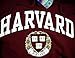 Harvard Shirt Hoodie Sweatshirt University T-Shirt Business Law Clothing Apparel Large