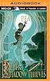 Peter and the Shadow Thieves (Starcatchers Series)