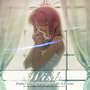 Fate/Stay Night: Image Album "Wish"