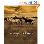 The Forgotten Horses