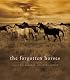 The Forgotten Horses