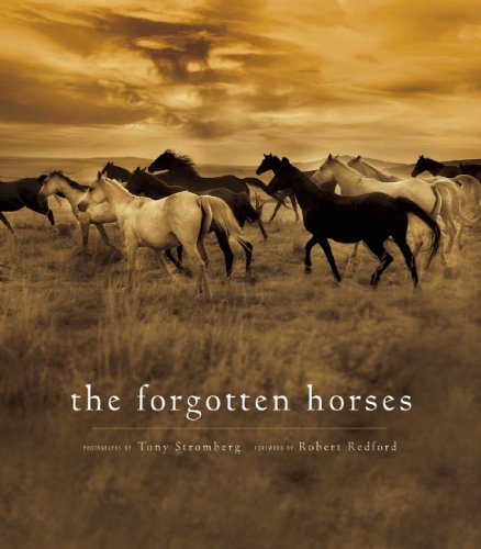 The Forgotten Horses under Animals in The Books Store