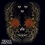 In & Out Of Youth And Lightness [VINYL]